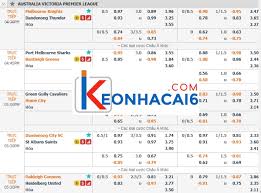 Asian cup, euro, copa america, premier league, la liga, serie a,… tỷ lệ cá cược của từng trận đấu sẽ được cập nhật nhanh chóng, chính xác trước khi trận. Tá»· Lá»‡ Keo Malaysia Keo Ca CÆ°á»£c Malay Trá»±c Tiáº¿p Hom Nay