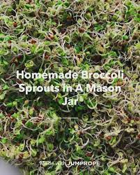 Homemade Broccoli Sprouts In A Mason Jar Video Recipe Video Broccoli Sprouts Sprouts Garden Layout Vegetable