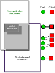 Mesaje si felicitari de la multi ani pentru zile de nastere si zile onomastice. Disclosing The Double Mutualist Role Of Birds On Galapagos Scientific Reports