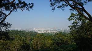 The boundaries lie along route twisk in the east; å¤§æ¬–éƒŠé‡Žå…¬åœ'é æœ›å…ƒæœ— Picture Of Taitong Organic Ecopark Hong Kong Tripadvisor