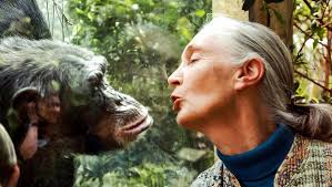 Jane Gabrielle Lafferty"