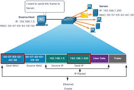 The leftmost six digits (24 bits), called a prefix, are associated with the adapter manufacturer (m). Ethernet Mac Address 7 2 Ethernet Switching Cisco Press