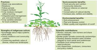 10 days ago applied saved. Enhance Indigenous Agricultural Systems To Reduce Migration Nature Sustainability