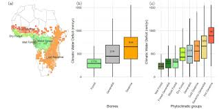 Image result for Landolphia bruneelii