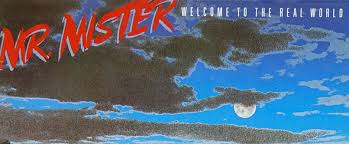 Your hair is brown your eyes are brown your skin is white two out of three ok with me come over here tonight i believe, i believe i believe in you i see your body, i see your body and i know what to do. Mr Mister Welcome To The Real World 30 Years Later Cryptic Rock