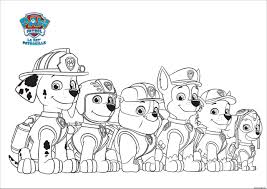 23 Interessant Dessin Stella Pat Patrouille Collection Di 2020
