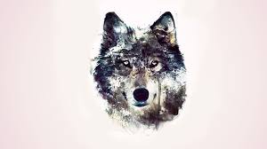 Check spelling or type a new query. Wild Wolf Wallpapers And Hd Backgrounds Free Download On Picgaga
