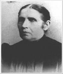 The History of Bradford County PA, H. C. Bradsby 1891