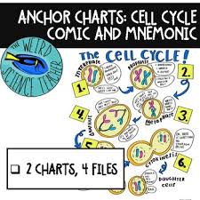 science anchor chart cell cycle comic and mnemonic tpt