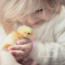 Spring Time Terrainsignsofspring Animals For Kids Baby Animals Animals