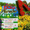 Botanical gardens near me dubai garden miracle garden palm beach gardens steel sculpture garden gates decoration beautiful gardens organic. Https Encrypted Tbn0 Gstatic Com Images Q Tbn And9gcsdqvrphfw3kegw1hdj4e4aaqyvkyoldxnwur7azn42iwbaty6x Usqp Cau