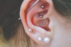 Becky Bedbug My Rook Piercing One Month On