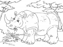 Dibujos Para Colorear De Animales De La Selva
