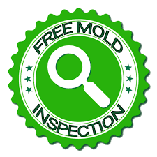 Maybe you would like to learn more about one of these? Request Free Inspection Free Mold Inspections Florida Mold Experts 407 541 0050