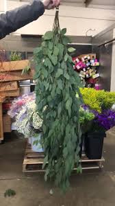 Maybe you would like to learn more about one of these? Old Mill Wholesale Flowers Home Facebook