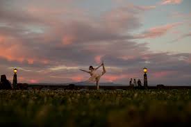 Home · class schedule · boulder yoga studio. Zen The Art Of Yoga Pearl Stark Photography Portland Wedding Photographer Portrait Photographer