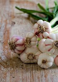 Garlic Vegetables Vegetables Photography Garlic