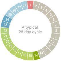 Pin On Pregnant Cycles Period Track