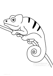 Their amazing colors are something to behold. Coloring Pages Chameleon Animal Coloring Pages