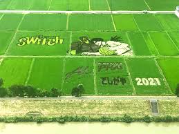 田んぼ アート 越谷