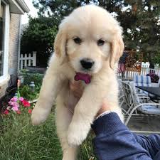 Rate my baby cuteness 1-10🥰