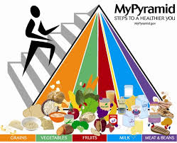 a brief history of usda food guides choosemyplate