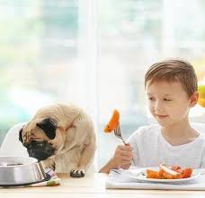 Since sweet potatoes do not contain solanine, unlike the ordinary potato, when they are growing or not yet ripe they are generally safe for cats. Can Dogs Eat Sweet Potatoes Are Sweet Potatoes Good For Dogs