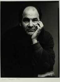 Bildergebnis für Joel Shapiro