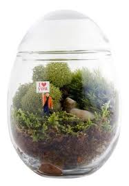 Table Decorations Terrariums With Wood Moss And Mini Figurines Twig Terrariums Terrarium Centerpiece Terrarium