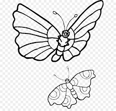 Just painting completely out of order again. Butterfly Black And White Clipart Drawing Butterfly Illustration Transparent Clip Art