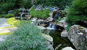 A waterfall is an area where water flows over a vertical drop or a series of steep drops in the course of a stream or river. Fountains Waterfalls Ponds Surrounds Landscape Architecture