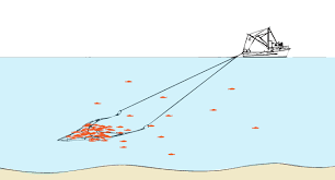 Image result for trawling