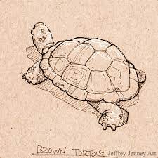 Pin On Animal Drawings From The Zoo