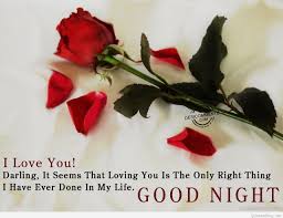 We hope you have found the most beautiful morning flower. Red Rose I Love You Good Night