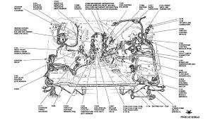 Ford f 150 wiring universal wiring diagram designs. 1994 F150 Engine Diagram Philips Advance Ballast Wiring Diagram High Bay Landrovers Tukune Jeanjaures37 Fr