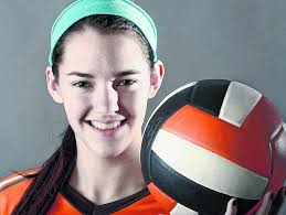 2014 District 10 girls volleyball all-star teams