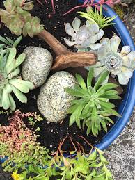Some of them are easy to make and use very few tools or supplies. Diy Succulent Planter Ideas The Happy Housie