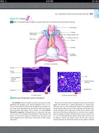 Principles Of Anatomy And Physiology Chapter 22 The Lymphatic System And Immunity 7 Book Pg 881 Lymphatic System Anatomy And Physiology Lymphatic