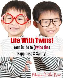 Life With Twins! Your Guide to (twice the) Happiness and Sanity