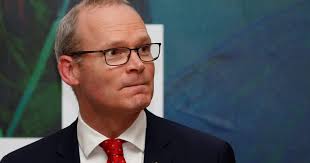 Irish foreign minister under fire for deleting texts