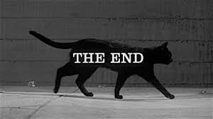 Design for spiritual relaxation for adults. Meow Mix The 100 Most Iconic Cats In Movies Paste
