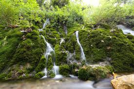 Doga Harikasi Zeyve Pazari Karaman In Ermenek Ilcesine Bagli Kazanci Beldesi Yakininda Yayla Pazari Koyu Sinirlari Icerisinde Yer Al Selaleler Resimler Doga