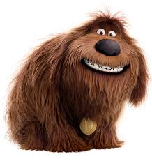 Duke The Secret Life Of Pets The Parody Wiki Fandom Powered By Wikia Secret Life Of Pets Pets Secret Life