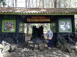 Harga tiket masuk curug tujuh cibolang. Wisata Curug 7 Cibolang Panjalu