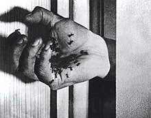 Un Chien Andalou - Wikipedia