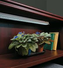 We did not find results for: Full Spectrum Led Grow Lights Lee Valley Tools