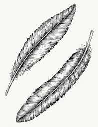 Birds Of A Feather 2020 Itv Two Hand Drawn Bird Feathers Transparent Png Free Image By Rawpixel Com How To Draw Hands Feather Drawing Bird Feathers