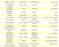 The condition for halal meat sea creatures is to have scales. Are Oysters Halal Shia