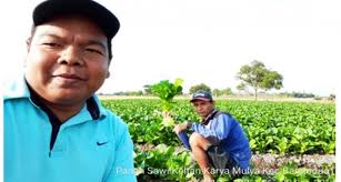 Maybe you would like to learn more about one of these? Menyiasati Musim Kemarau Petani Tanam Sayuran Dataran Rendah