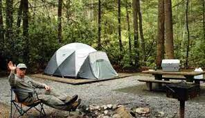 Camping and hiking are probably the two most quintessential activities you could enjoy in tennessee state parks. Roan Mountain State Park Camping Tennessee State Parks